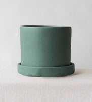 Sea Spray Dalston Pot