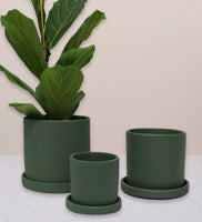 Sea Spray Dalston Pot