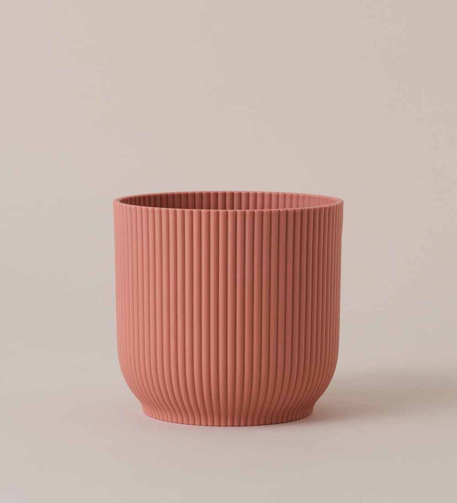 Rose Elho Vibes Pot